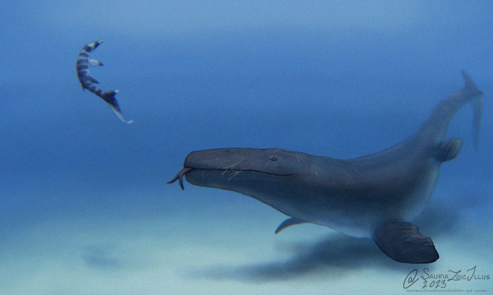 a Tylosaurus investigates a juvenile Stelladens