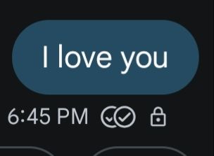 Android text message bubble that reads "I love you". The timestamp is 6:45 PM and two white checkmarks indicating the message was delivered but not read.
This was sent as a joke to an ex. But also to see how spicy things can get. 