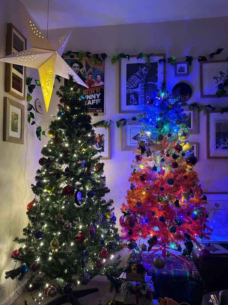 The two trees decorated and lit up