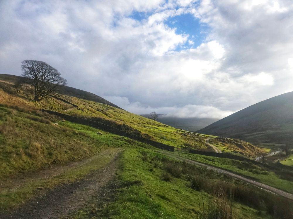 Rural scene. Somewhere in the Trough of Bowland.  Not exactly sure where...