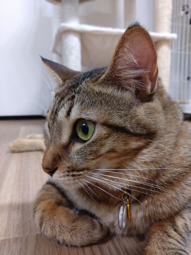 企業戦士の顔。