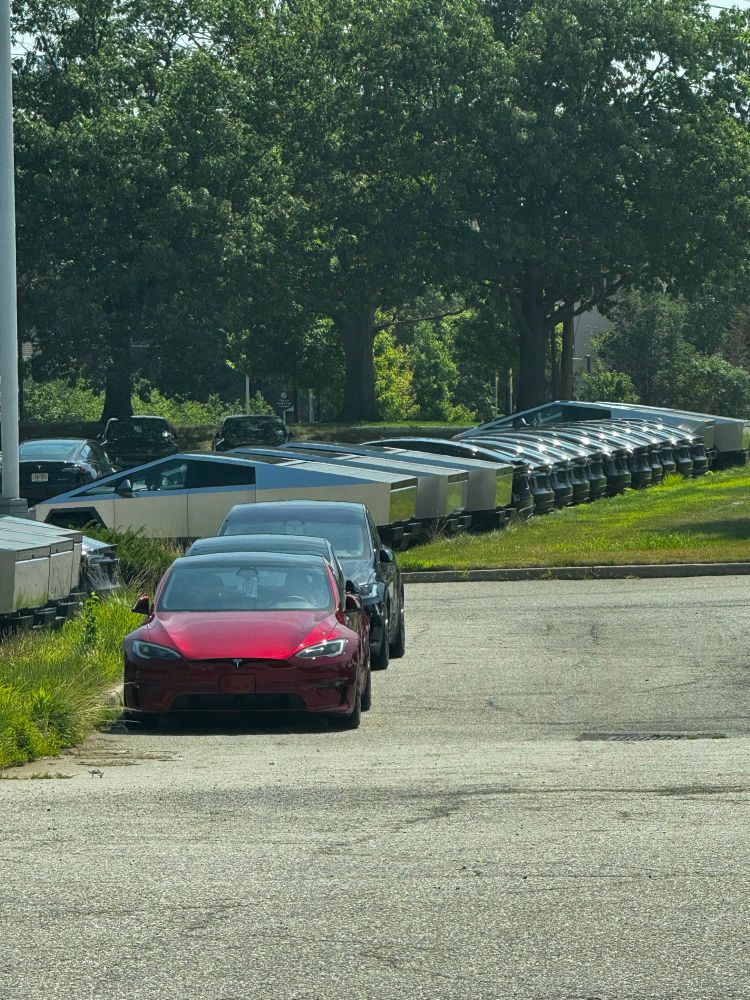 Way too many Teslas in a parking lot