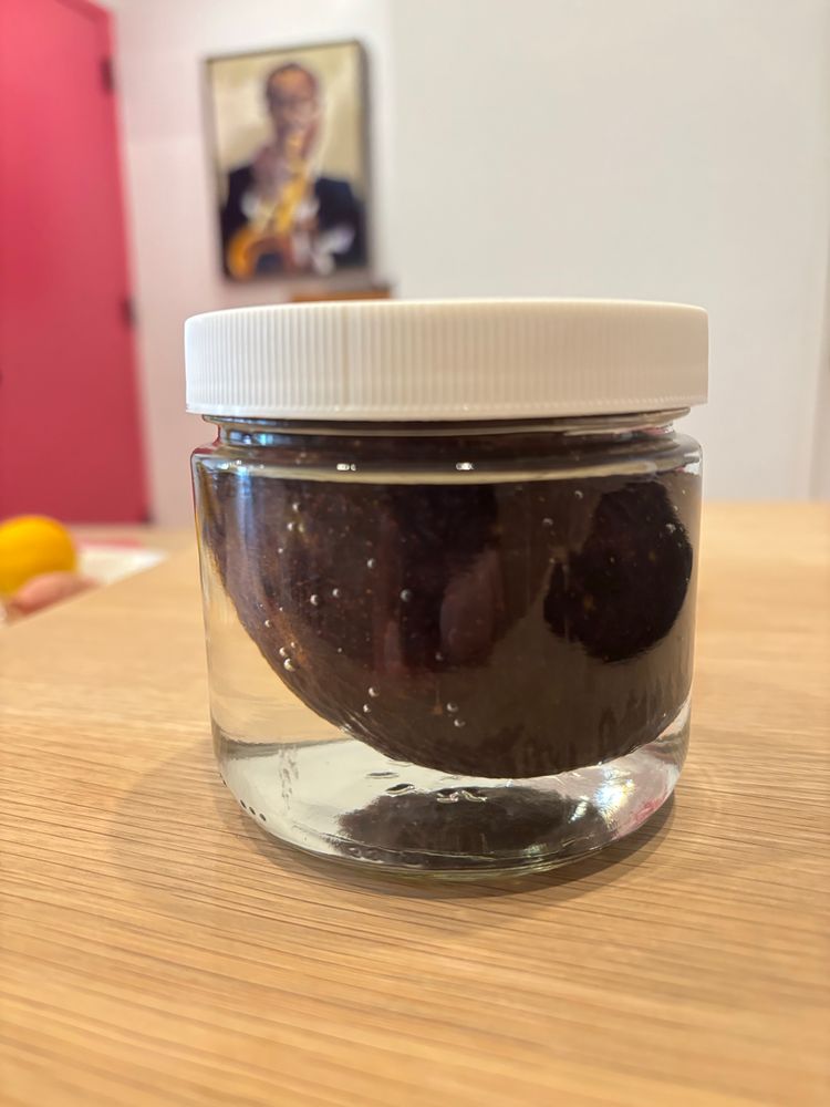 Avocado in a jar