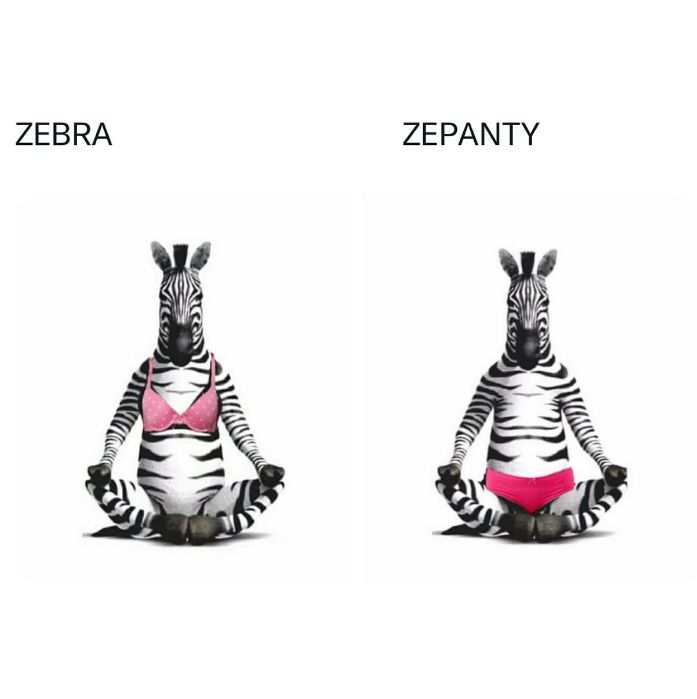 A zebra wearing a light pink bra sits with bottom hooves together on the left. The word ZEBRA is above it. A zebra wearing hot pink panties sits with bottom hooves together on the right. The word ZEPANTY is above it. 