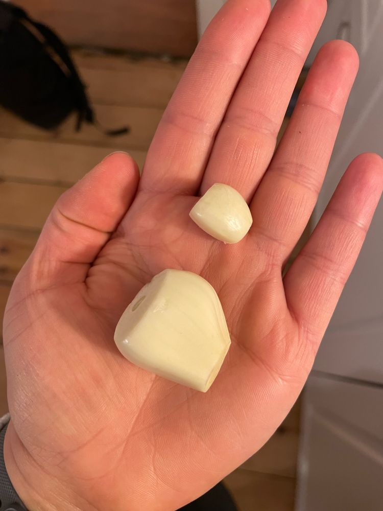 2 geschälte Knoblauchzehen liegen auf meiner Handinnenfläche. Oben die kleinere und unten die größere. 