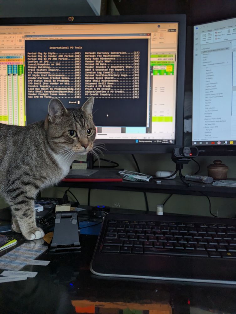 A young tabby cat stands on a desk in front of a computer monitor.