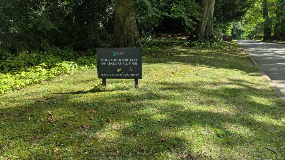 The images shows a sign on a grassy verge that reads "dogs should be kept on leads at all times. Peacocks roaming freely". The grass is dappled with sunlight and shade from the trees.