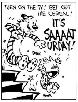 "Turn on the TV!" exclaims calvin. "Get out the cereal! It's sa-a-a-aturday!" He and hobbes "bonk" their way down the stairs.