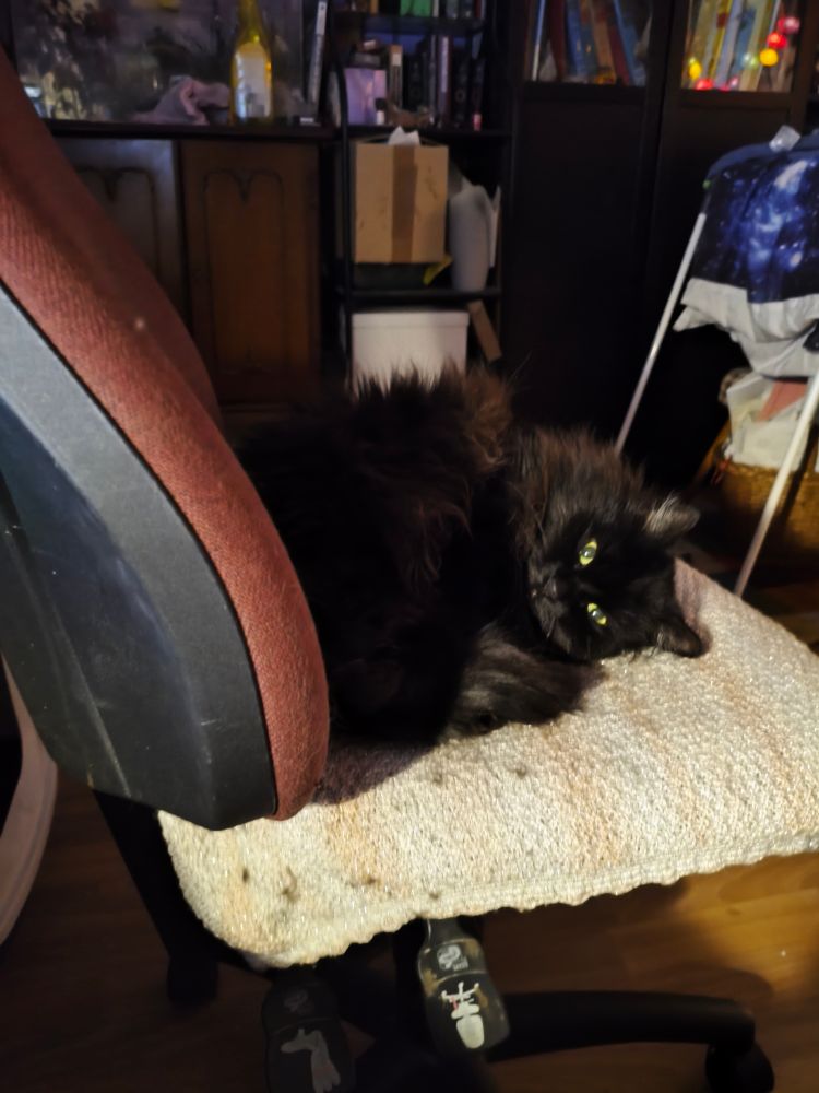 A black cat with green eyes on a office seat.