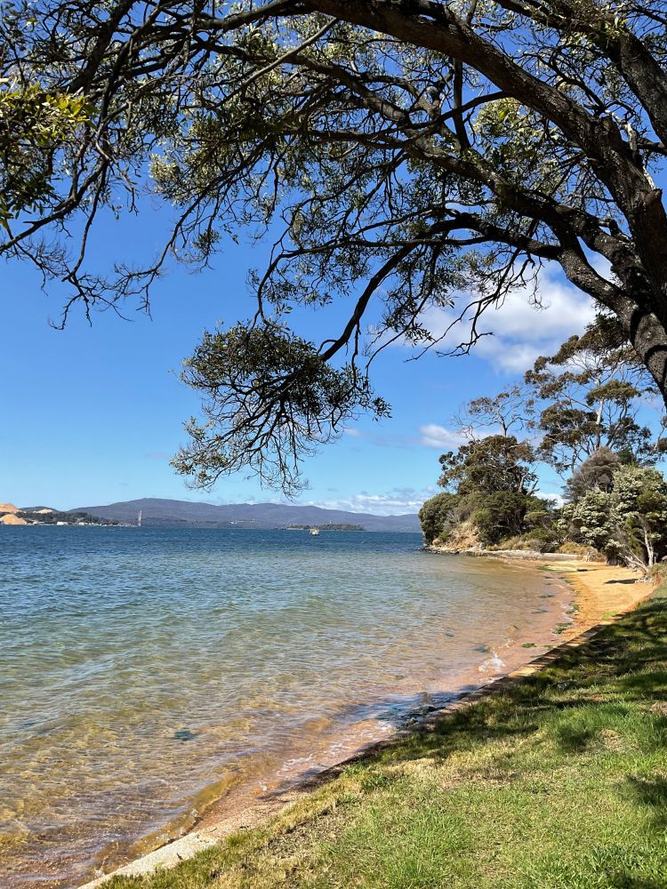 a small beach framed by trees, with mountains in the background…the sky is blue 