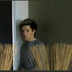 Niall Horan hiding behind some grass stuff looking suspicious 