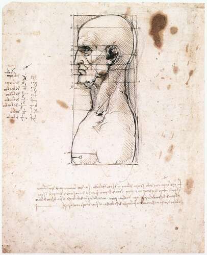 Bust of a man in profile with measurements and notes
