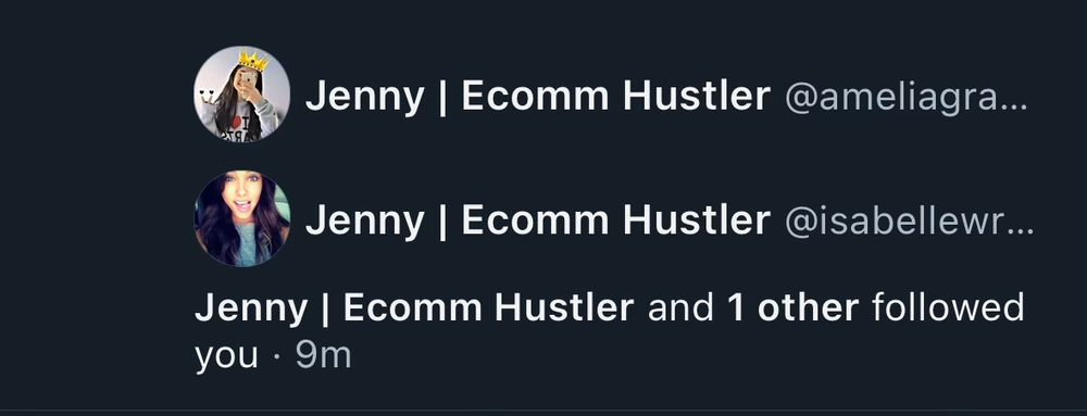 Screenshot showing two accounts following me. Both have “Ecomm Hustler” in their names.