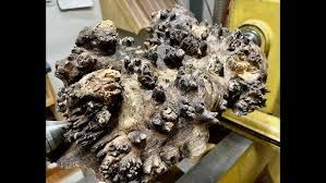walnut burl
