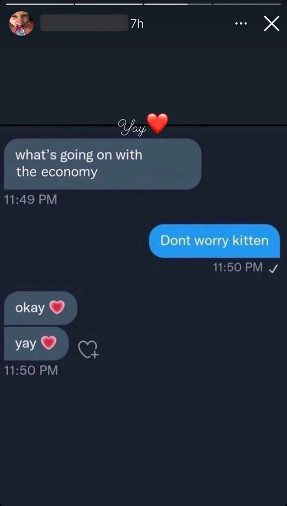 dont worry kitten meme