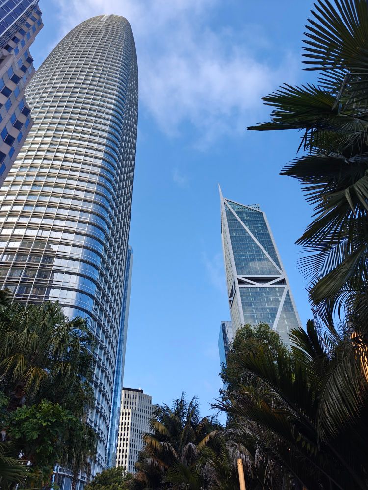 Several tall skyscrapers framed by palm trees. Blue sky above with some faint white clouds.