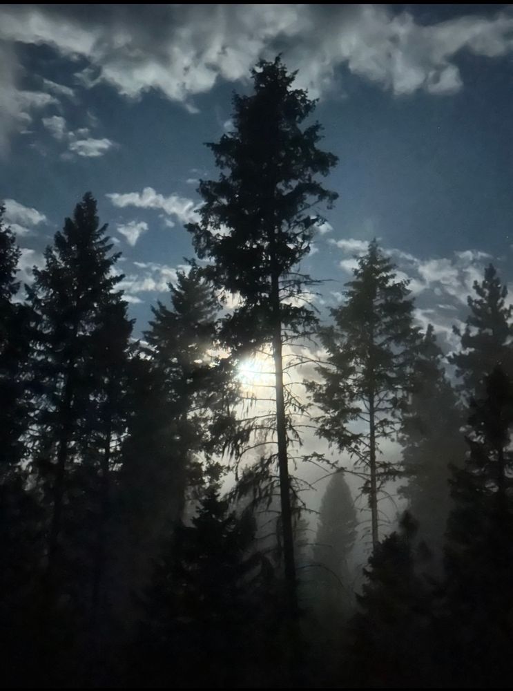 Clouds and some open sky over the moon glowing behind trees and fog