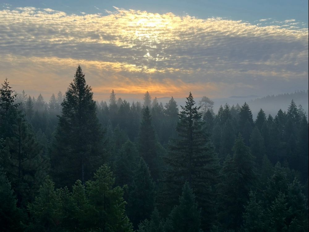 Sunrise and clouds over a misty forest 