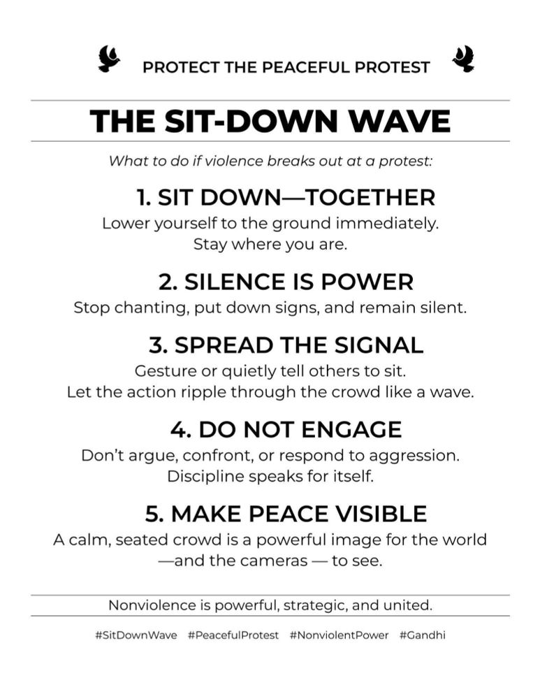Protecting peaceful protests
The SIT-DOWN wave: 
1. Sit down together 
2. Silence is power
3. Spread the signal, create a wave
4. Do NOT engage. Do not argue or confront
5. Make peace visible for the world, that is cameras