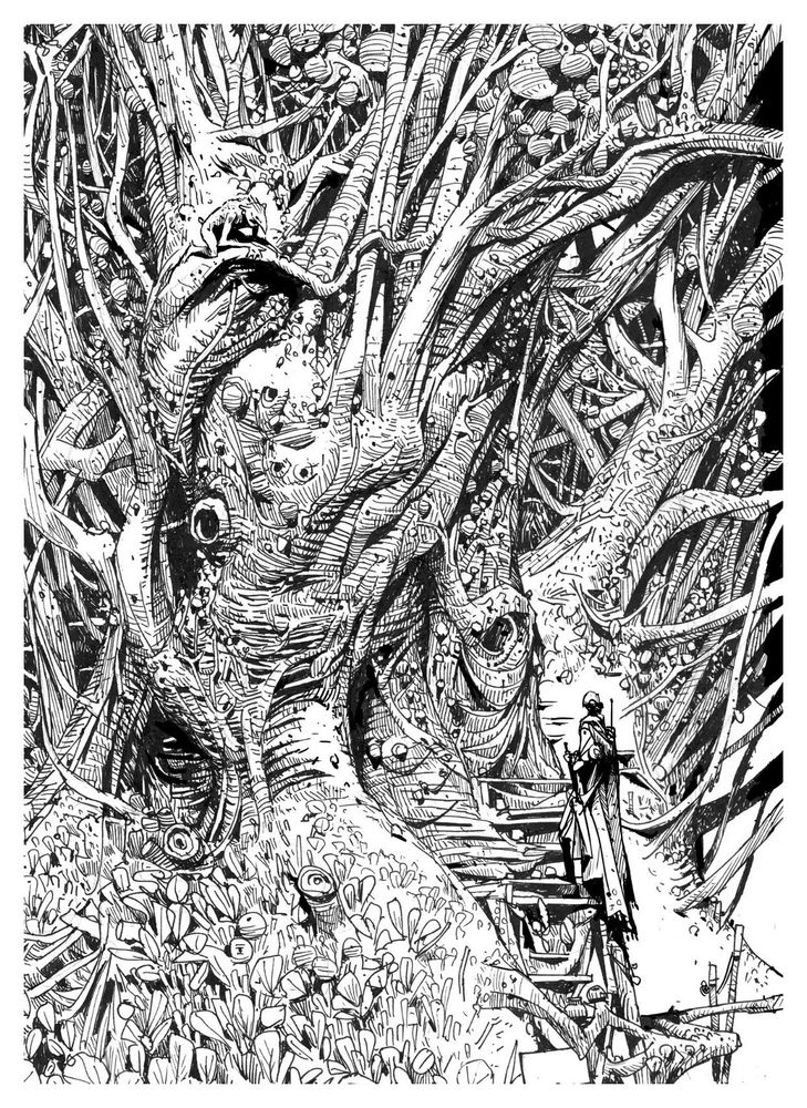 Ink drawing - a cloaked figure enters a gnarly wood. Unbeknownst to them they’re being observed