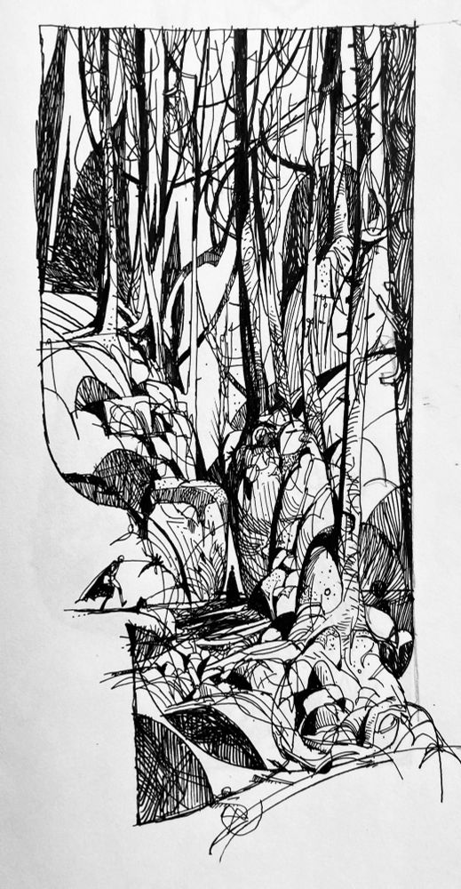 Ink drawing, stylised forest shapes 