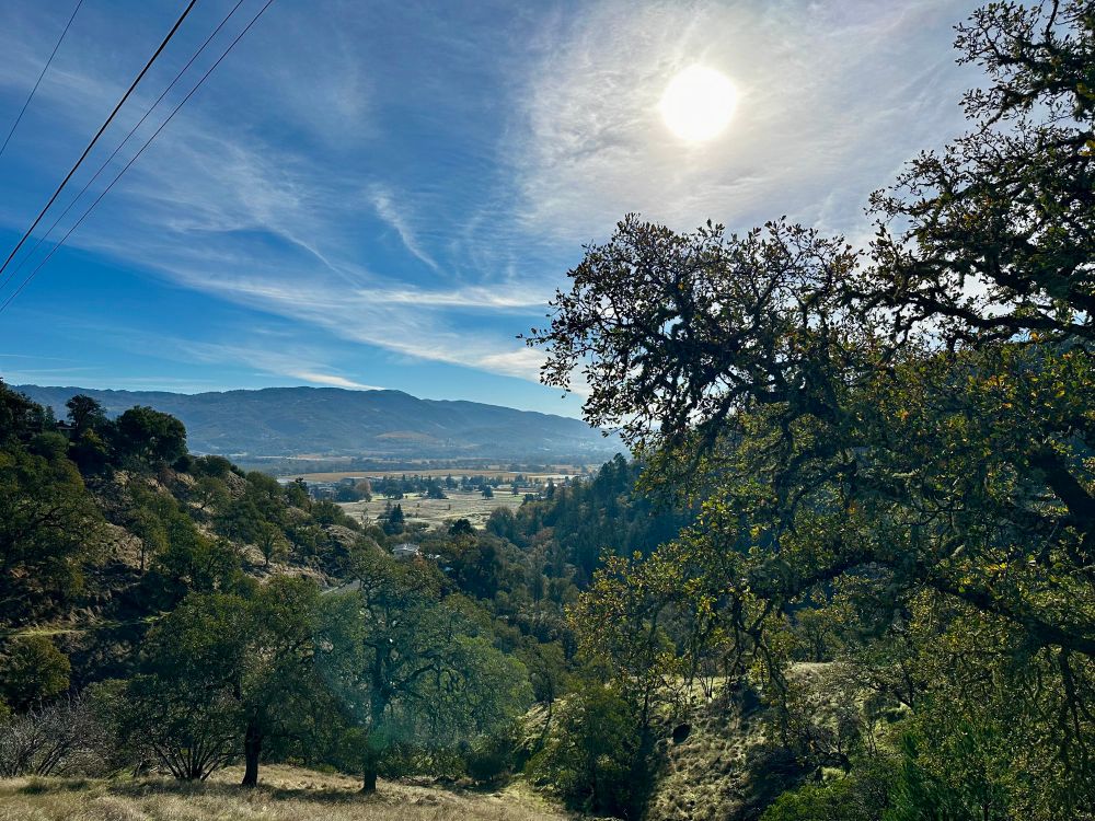 Photo of southern Ukiah valley with oak woodlands in foreground and grapevines in background. 