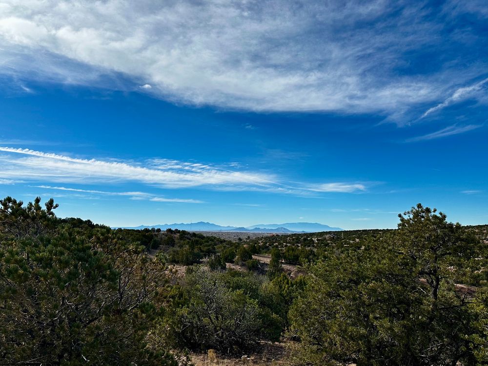 View of the Sandia Mountains with pinon trees in the foreground from within Frank Ortiz dog park in Santa Fe, NM. 