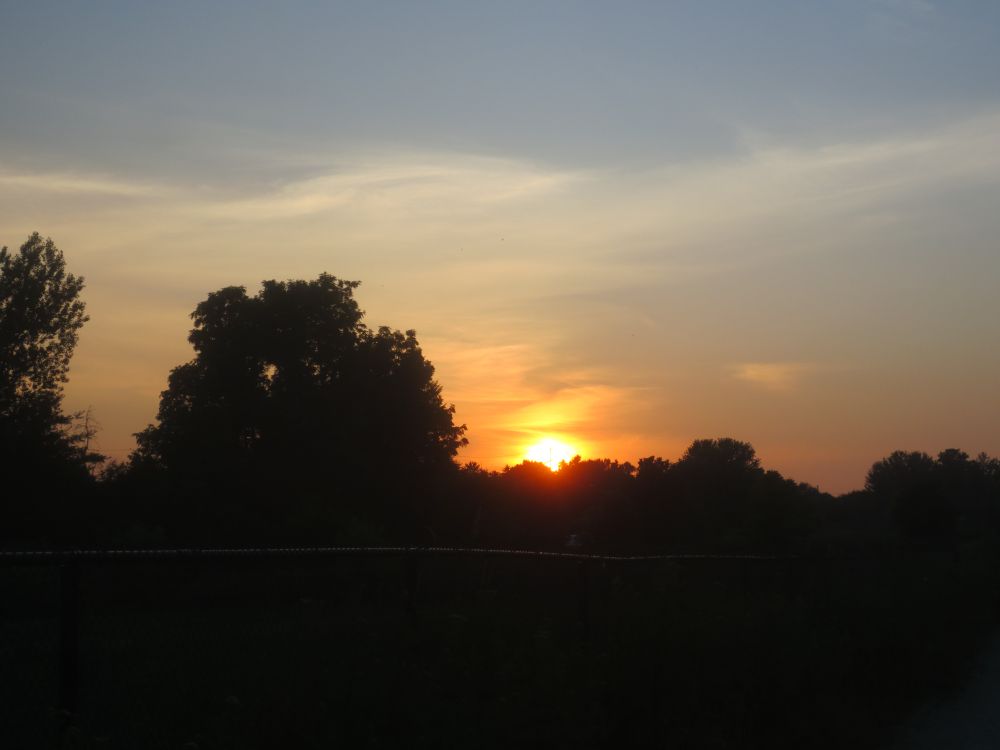 An orange sunset with trees in shadow.