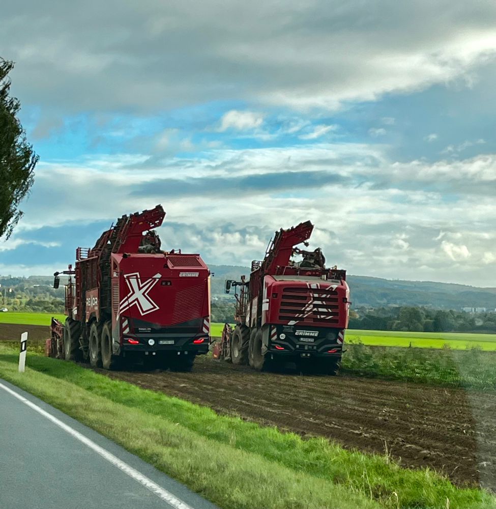 Zwei Rübenmaschinen auf einem Feld 