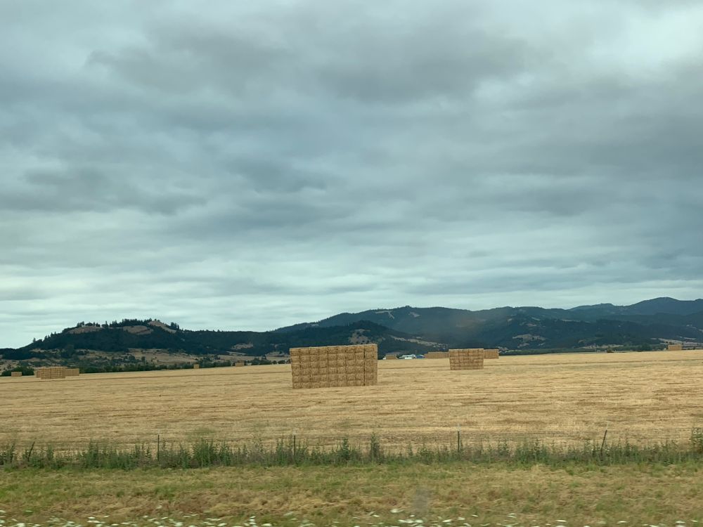 More haybales