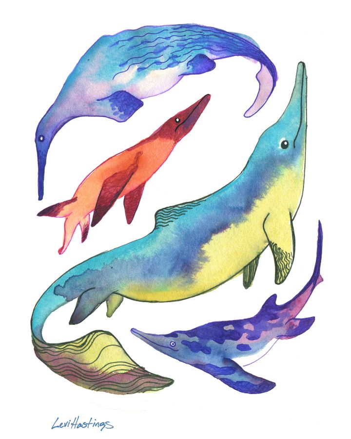 watercolor illustration of four prehistoric marine reptiles, including #ichthyosaurs #paleoart #sciart #prehistoricart #prehistoriclife #levihastingsart