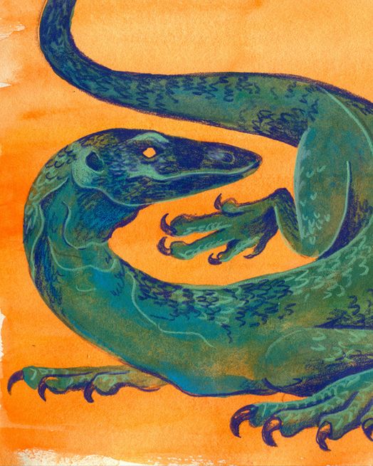 Illustration of a Monitor Lizard by Levi Hastings #levihastingsart #wildlifeart #wildlifeillustrators #illustratorsofbluesky #kidlit #reptile #monitor lizard