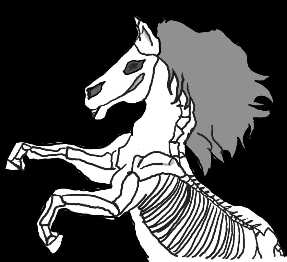 A ghost horse with skeleton