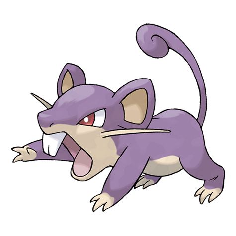 a rattata from pokemon