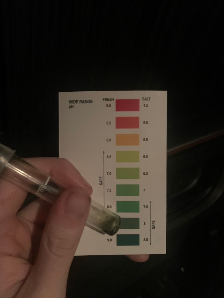 A vial of test liquid next to a pH scale reading 8 pH