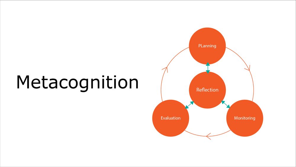 Image of a model of metacognition.