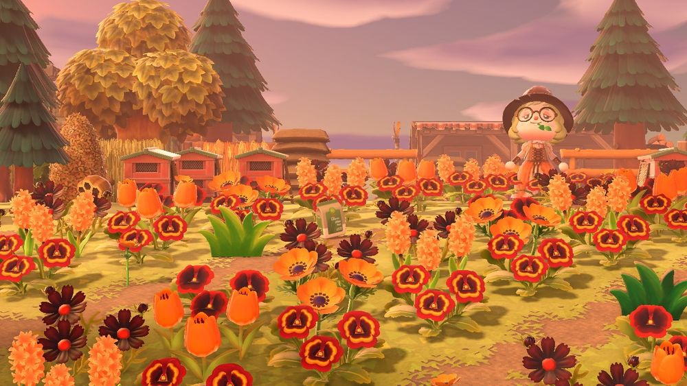 In Animal Crossing: New Horizons, an adventurer strolls through a warm-toned flower meadow of pansies, wildflowers, hyacinths, tulips, and cosmos. 