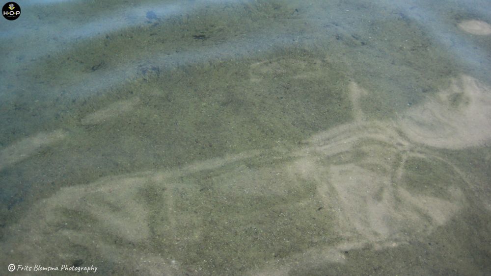 This photo shows a shallow, gently rippled body of water with the sandy bottom clearly visible beneath the surface. What immediately stands out is a pale, almost ghostly pattern in the sand—an outline that resembles a reclining human figure. It looks as though the sand has been sculpted or smoothed in a way that creates the suggestion of a head, torso, and limbs, all softened and blurred by the movement of the water above.

The faint blue tones near the top of the image contrast with the earthy greens and browns of the sand below, giving the scene a calm, slightly mysterious atmosphere. The water’s surface distortions add to the illusion, making the figure appear dreamlike, as if it’s dissolving or emerging from beneath the sand.
