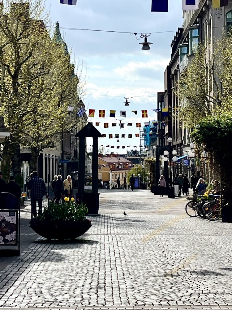 Ronnebygatan