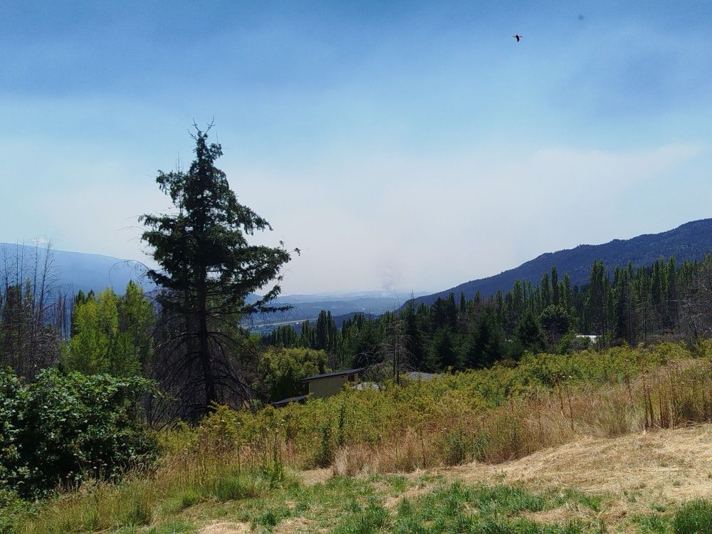 Foto de 14 hs, desde Las Golondrinas hacia El Bolsón, al fondo el incendio sigue activo y complicado. Se esperan más vientos está tarde.