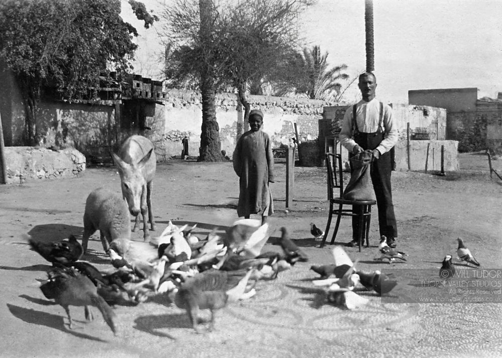 Man and local boy in Alexandria Egypt 1919
