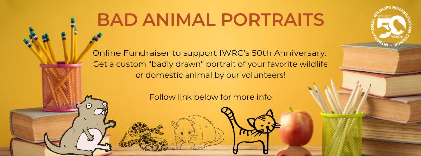 Bad Animal Portraits! Online fundraiser to support IWRC's 50th Anniversary. Get a custom 'badly drawn' portrait of your favorite wildlife or domestic animal made by our volunteers. Follow the link for more info! Examples of art in the image vary from gorgeous line art of a rattlesnake to a silly cartoon of a beaver to childlike charm of a cat.