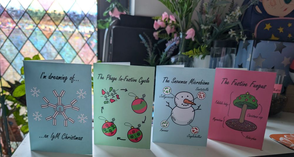 Four Xmas cards titled "I'm dreaming of an igm Christmas", "the Phage in-festive cycle", "the snowman microbiome" and "the festive fungus"