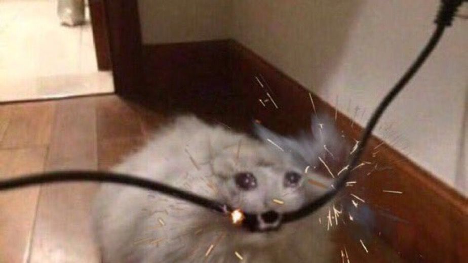 A meme of a cat biting a sparking electrical cord