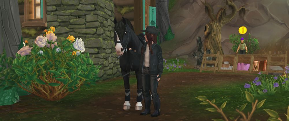 Heather Flowerstar with Flyjoker, the Finn Horse Stallion at Valedale.