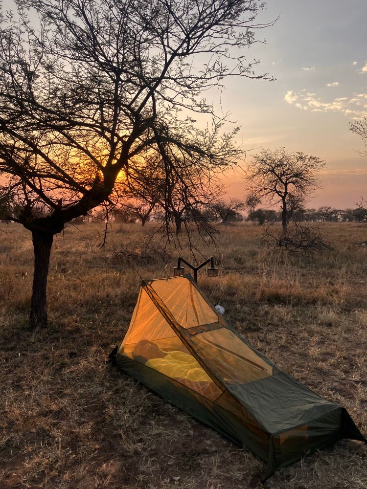 My tent in the evening light 