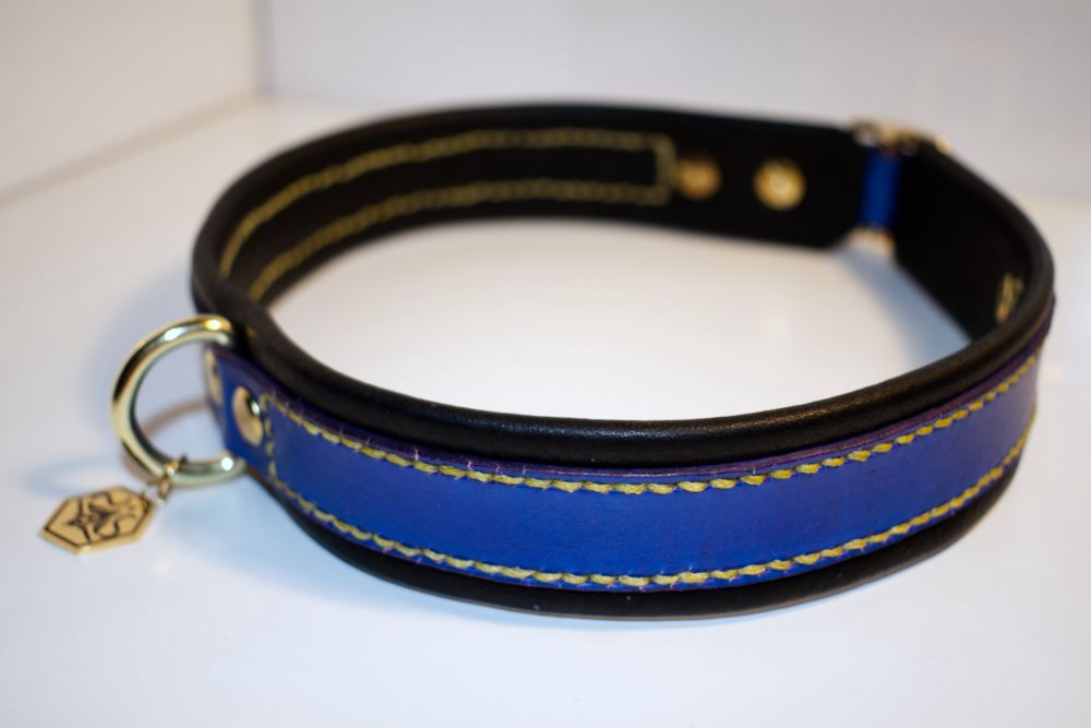 A blue collar with black backing and golden yellow stitching. The Hardware is gold and there is a small gold tag with a custom design engraved into it.