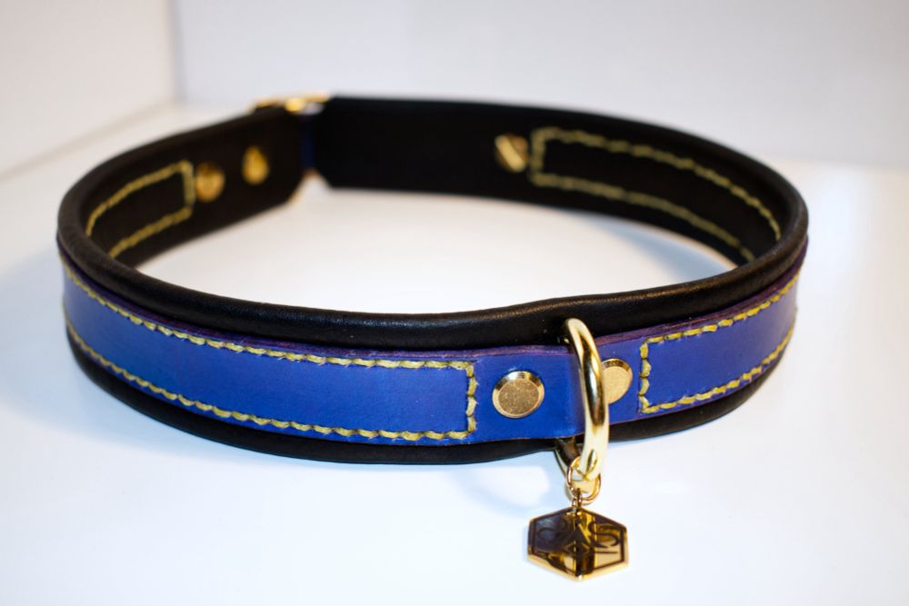 A blue collar with black backing and golden yellow stitching. The Hardware is gold and there is a small gold tag with a custom design engraved into it.