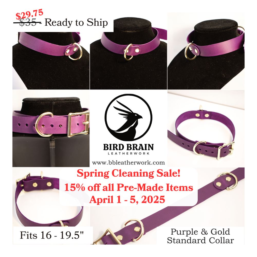 A photo collage of a simple purple collar. The text reads:

Spring Cleaning Sale!
15% off all Pre-Made Items
April 1-5, 2025

Purple & Gold Standard Collar
$29.75 - Ready to Ship 
Fits 16 - 19.5" inches

Bird Brain Leatherwork
www.bbleatherwork.com