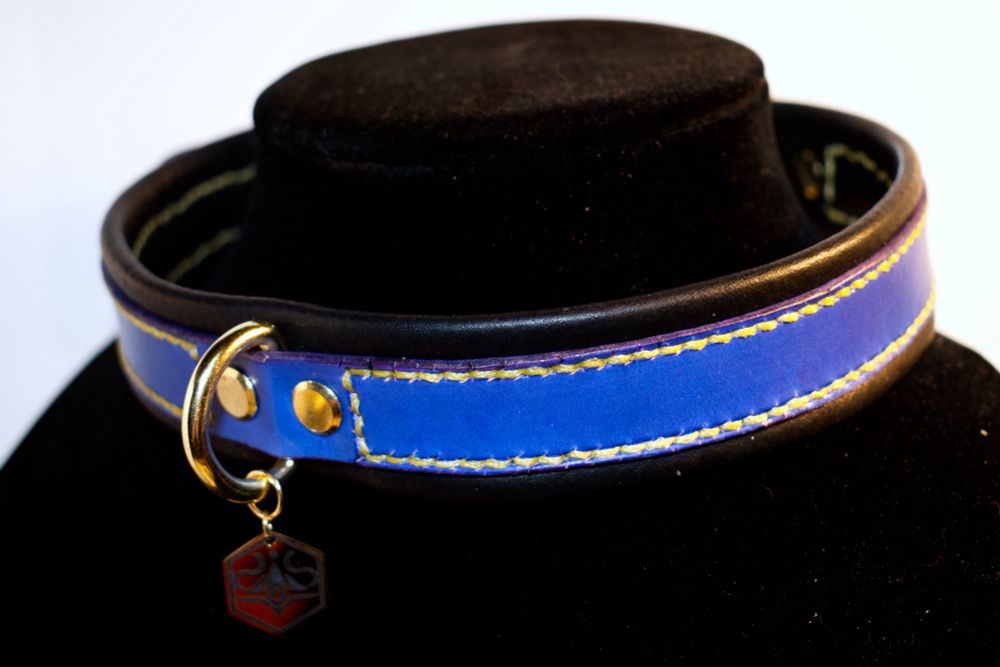 A blue collar with black backing and golden yellow stitching. The Hardware is gold and there is a small gold tag with a custom design engraved into it.